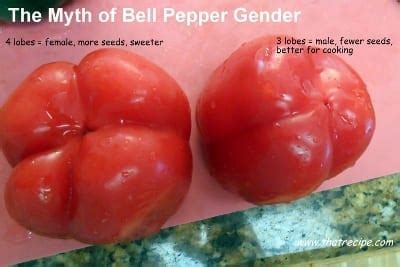 green pepper sexes|Pepper Gender Myth .